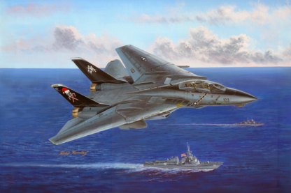 Hobbyboss 1/48 F-14B Tomcat