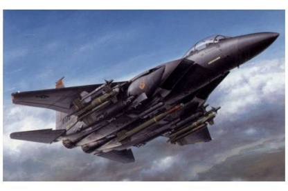 Tamiya 1/32 Boeing F-15E Strike Eagle with Bunker Buster